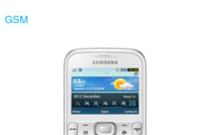 Samsung Ch@t 333