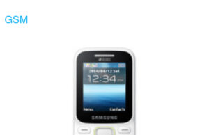Samsung Guru Music 2